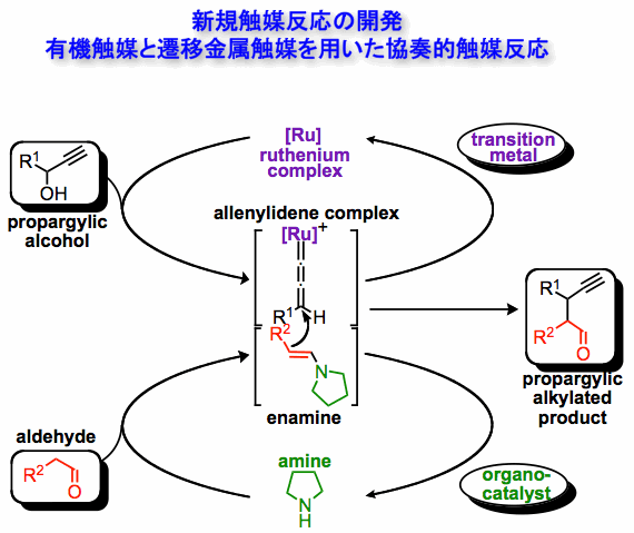 遷移金属触媒を用いた新しい反応場・触媒反応の応用